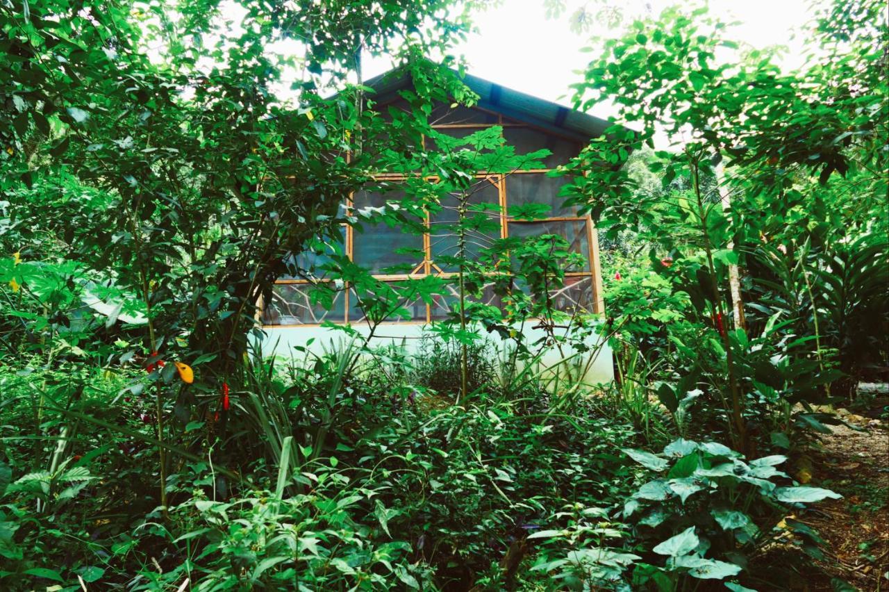 Alma Del Rio Eco-Comfort On The Water San Ignacio Extérieur photo